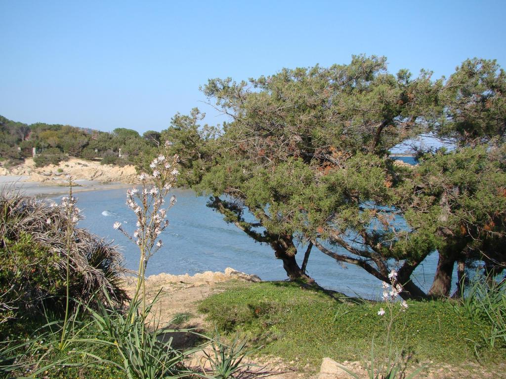S'Ustiarvu- Nuova Gestione Hotel Cala Liberotto Exterior foto