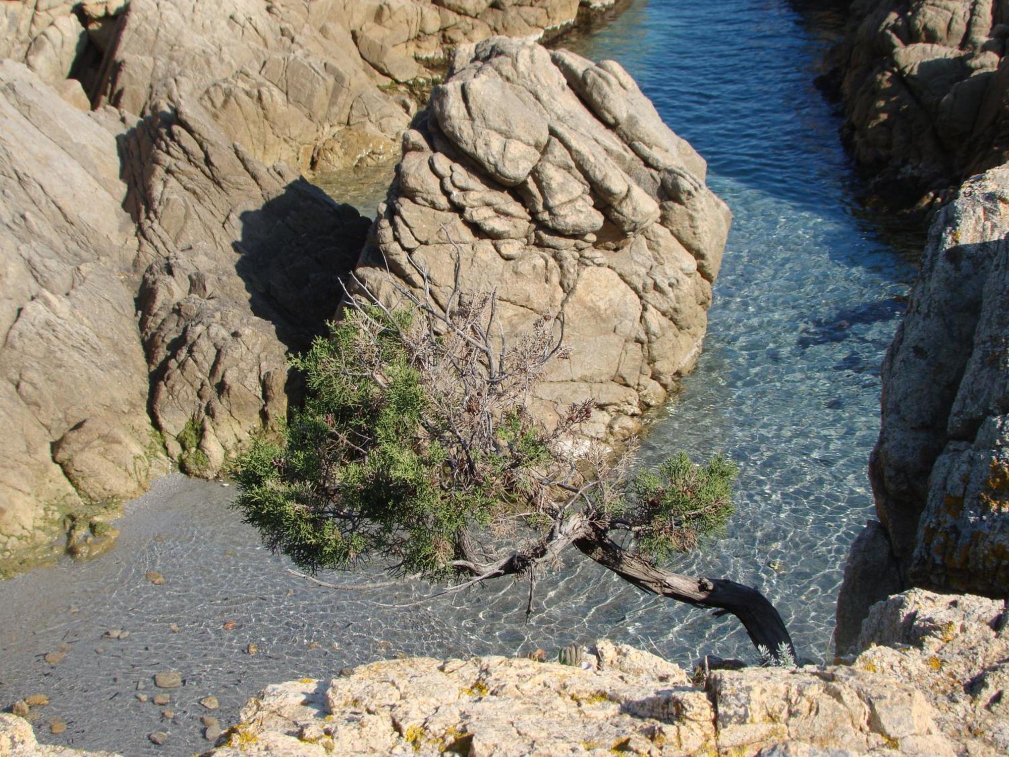S'Ustiarvu- Nuova Gestione Hotel Cala Liberotto Exterior foto